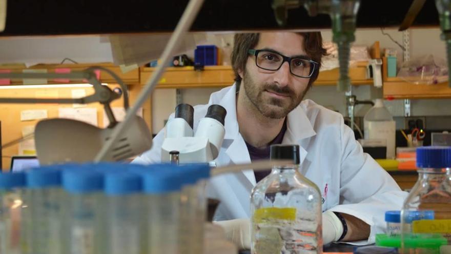 El joven científico ´pobler´, Antoni Celià Terrassa, trabajando entre microscopios, frascos y probetas, en su laboratorio de Princeton.