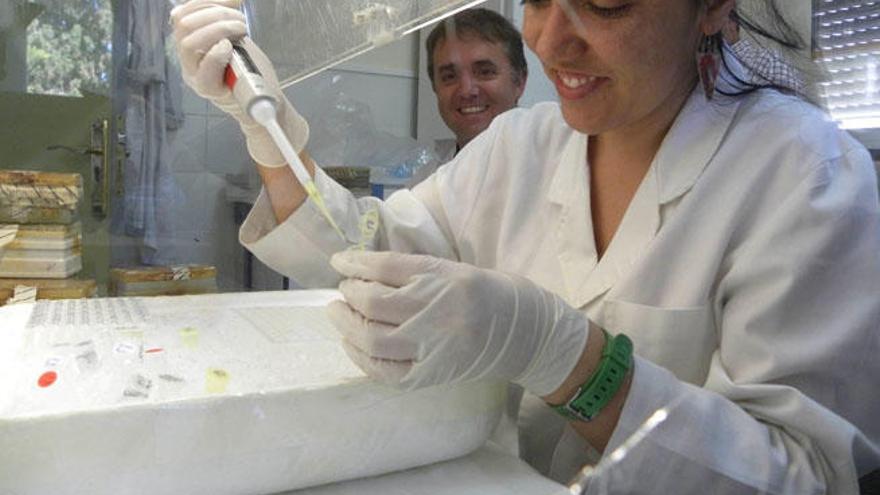 Investigadores en la finca experimental La Mayora, situada en el término municipal axárquico de Algarrobo y que acumula medio siglo de análisis agrícolas.