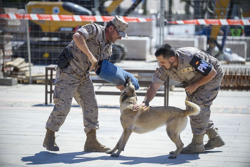 Día de las Fuerzas Armadas 2022 en Cartagena