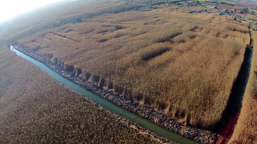 Die Albufera ist das mit Abstand größte und bekannteste Feuchtgebiet auf Mallorca.