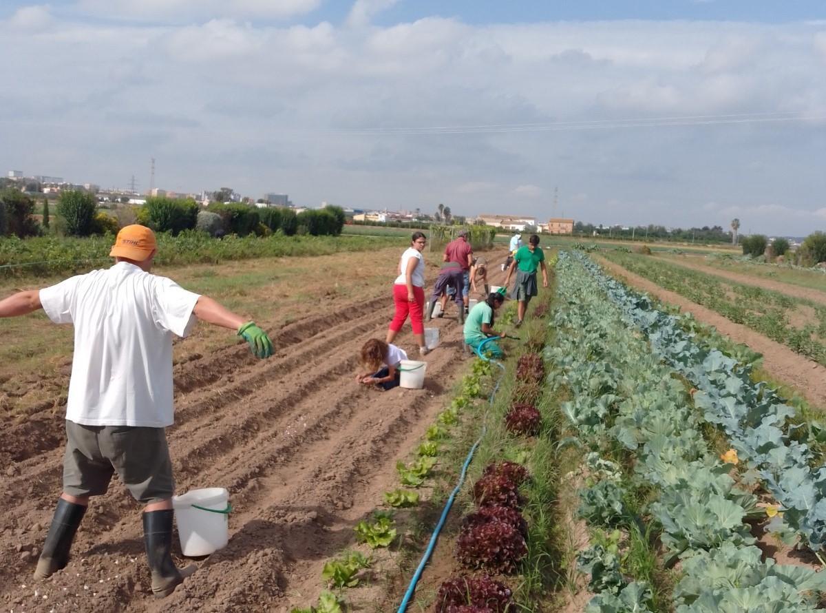 Al ser cuatro grupos de no más de cinco personas, cada vez pueden asumir roles distintos.