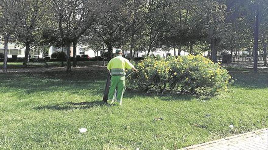 El consistorio inicia los trabajos para erradicar roedores de los parques