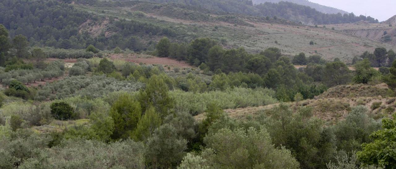 Los terrenos donde se proyectaba hasta 2016 el macrovertedero de Llanera de Ranes.  | PERALES IBORRA