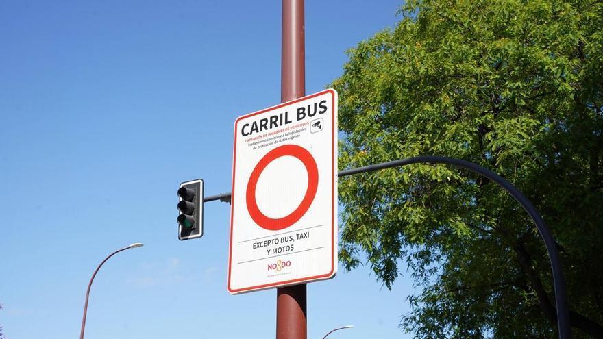 El Ayuntamiento de Sevilla activa hoy una nueva cámara de tráfico: comienzan las multas por invadir el carril bus en el Paseo de las Delicias