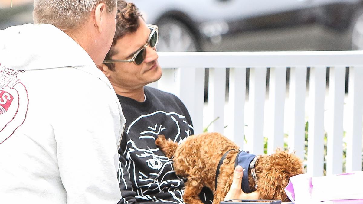 Orlando Bloom y el perro de Katy Perry