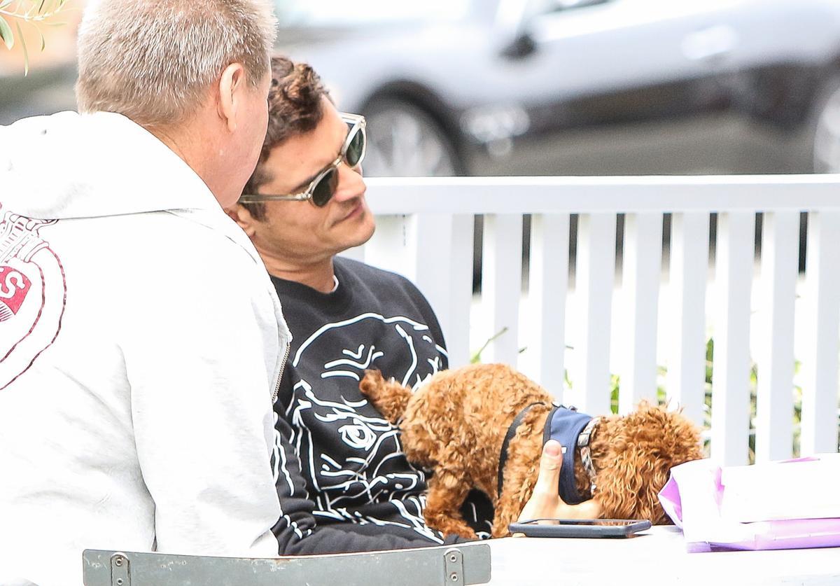 Orlando Bloom y el perro de Katy Perry