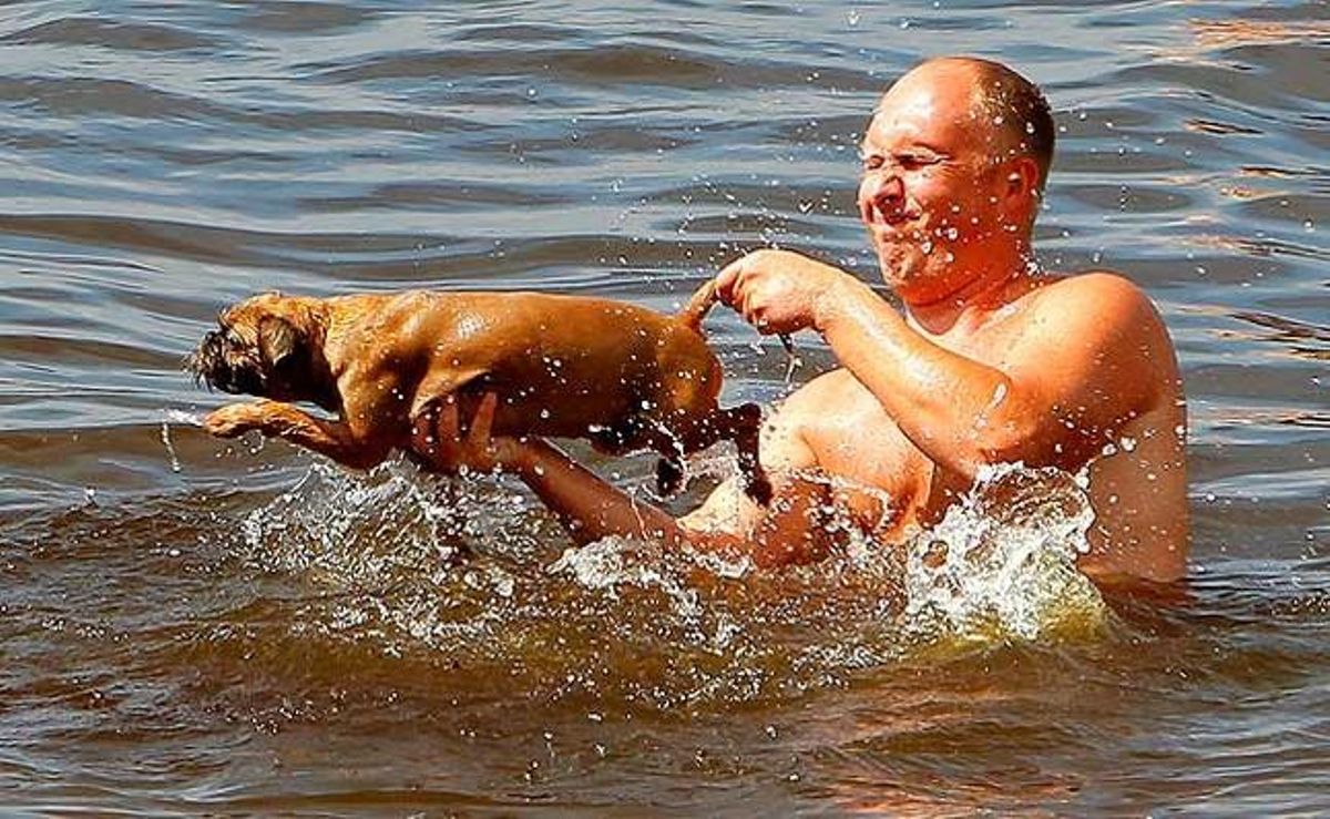 Un ciutadà rus banya el seu gos al riu Volga.