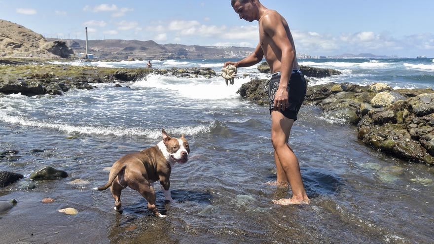 Playa para perros en la costa de Jinámar