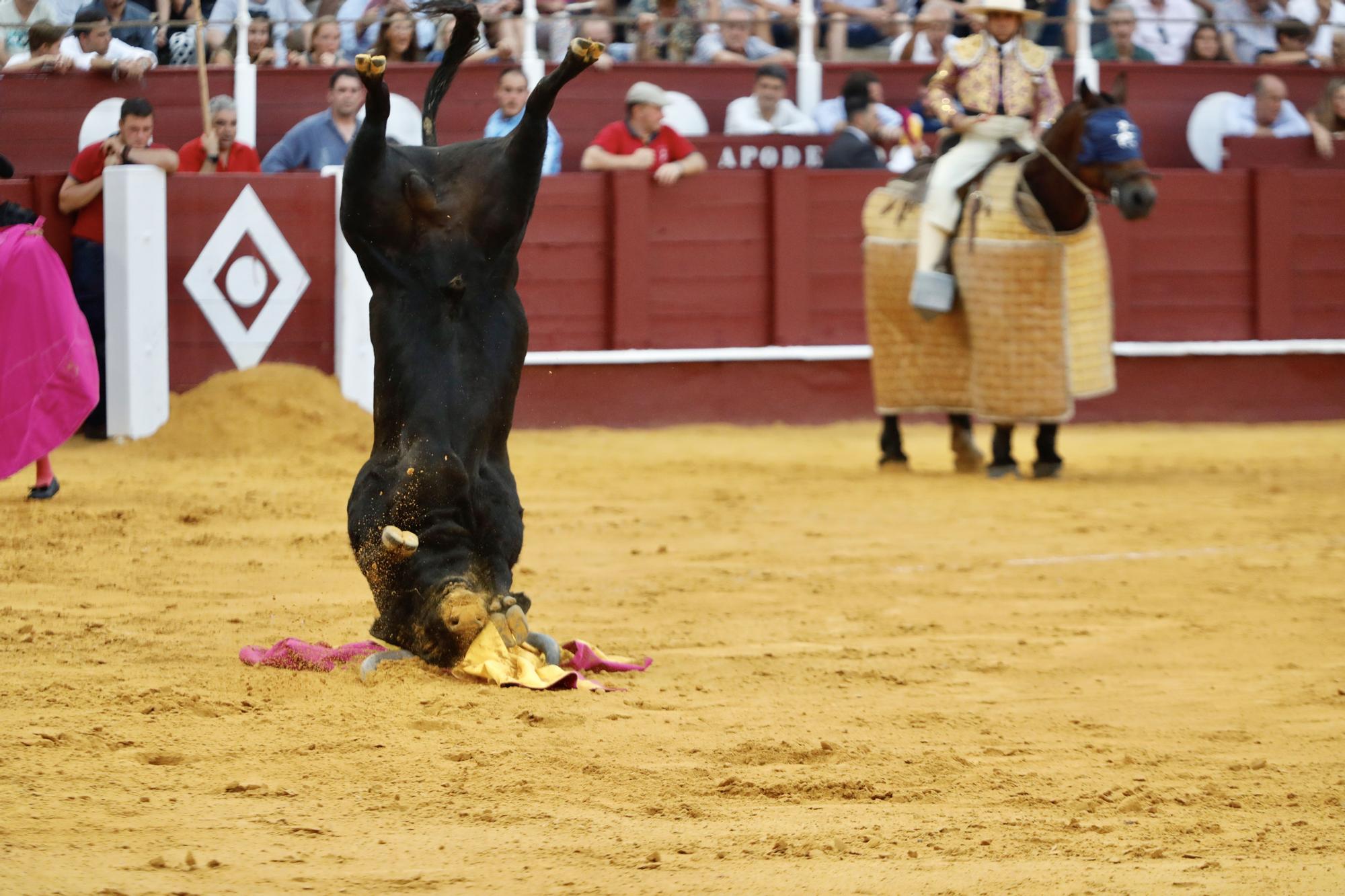 Fotos de la novillada que abre la feria taurina de Málaga