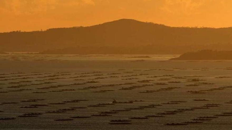 Bateas de mejillón en la ría de Arousa, en una imagen tomada desde Xiabre.  // Iñaki Abella