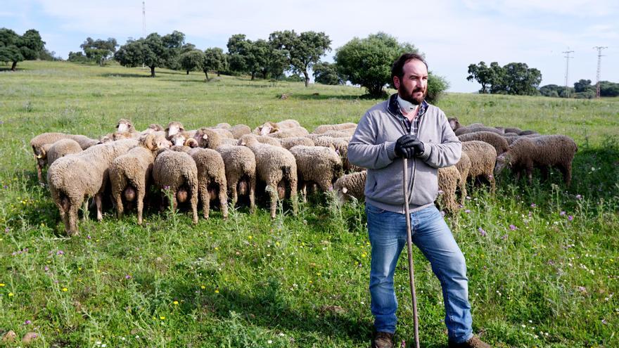 La ganadería del pastor cordobés de la trashumancia sobrevive a la huelga del transporte