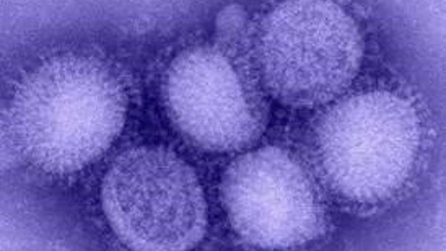 La temporada de gripe acaba marzo con apenas 12 detecciones, frente a 9.391 el año pasado