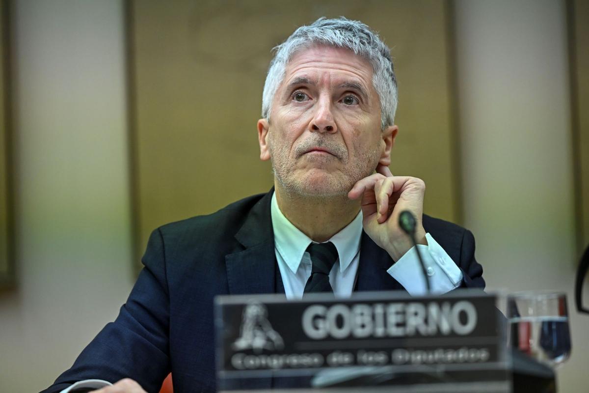 Fernando Grande-Marlaska, ministro del Interior, en el Congreso.