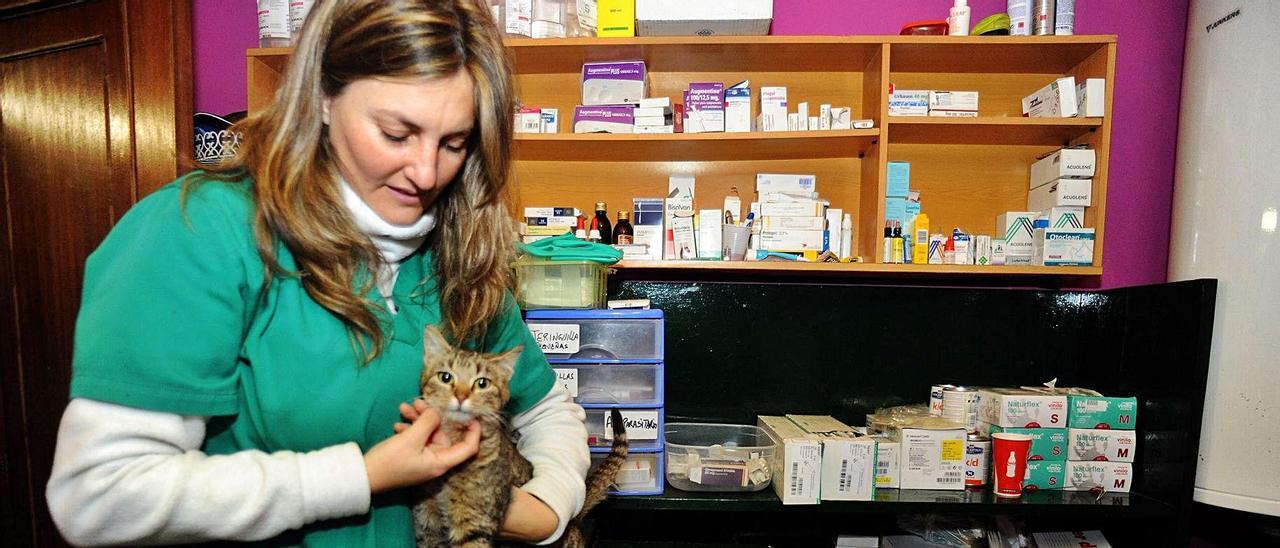 Olga Costa atiende uno de los gatos del refugio de Cambados.