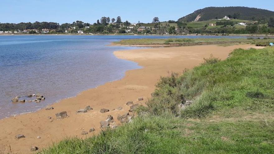 Los ecologistas alertan del aumento de polución en la ría de Villaviciosa