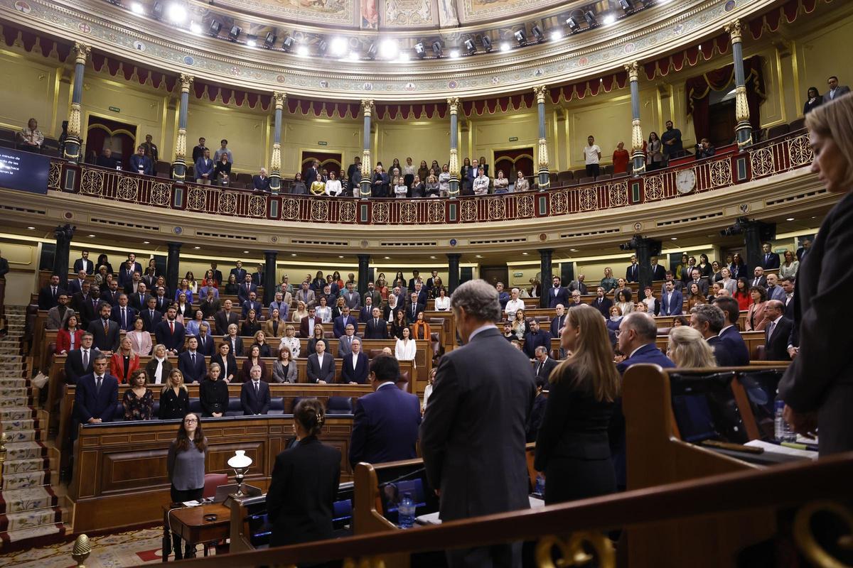Imagen de archivo del minuto de silencio celebrado en el Congreso de los Diputados en recuerdo de las víctimas de la dana. Hoy, declaran algunas de ellas en una comisión de investigación sobre lo sucedido el 29-O.