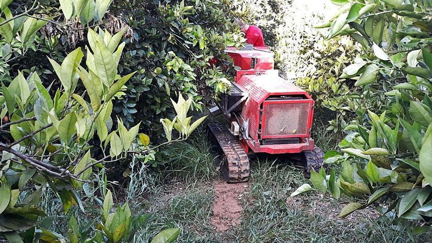 La maquinaria que tritura los restos de poda agrícola en uno de los campos del valle de la Murta de Alzira.