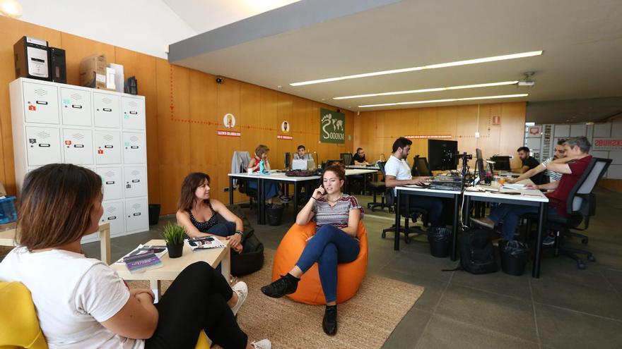 ¿Cómo son los emprendedores de Castellón?: crecen a un ritmo de cuatro al día en un año récord