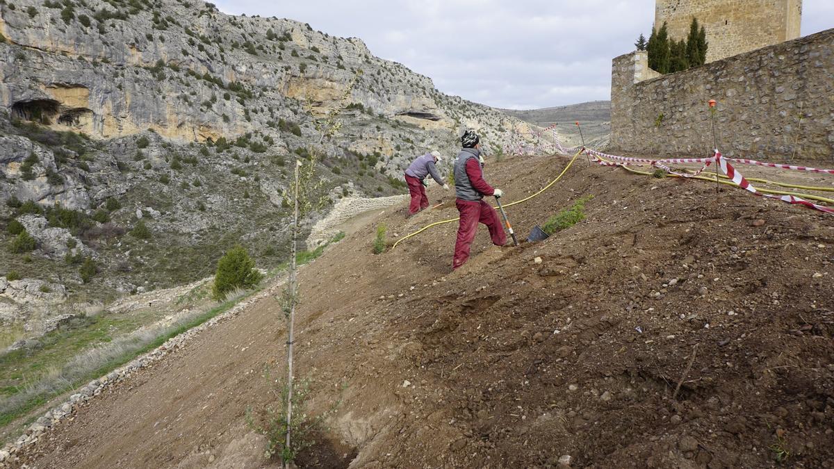 Dos trabajadores plantan especies vegetales en el talud de tierra que recubre los escombros antes visibles.