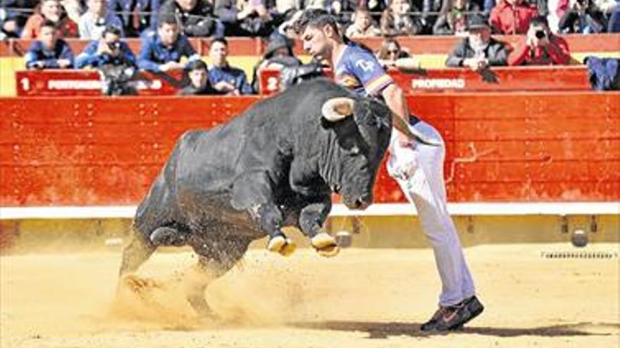 Los mejores recortadores se miden en la plaza de Vinaròs