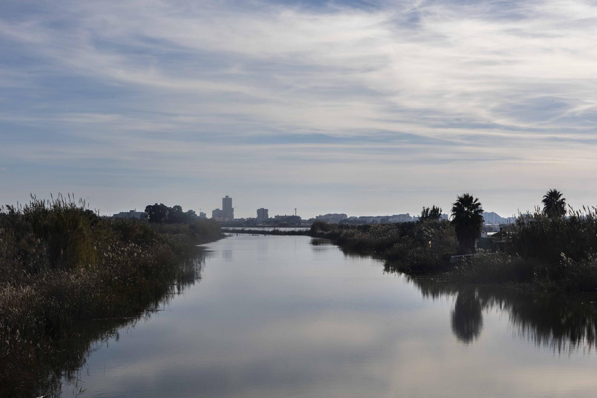 L'Albufera y su biodiversidad disfrutan de una caudal histórico