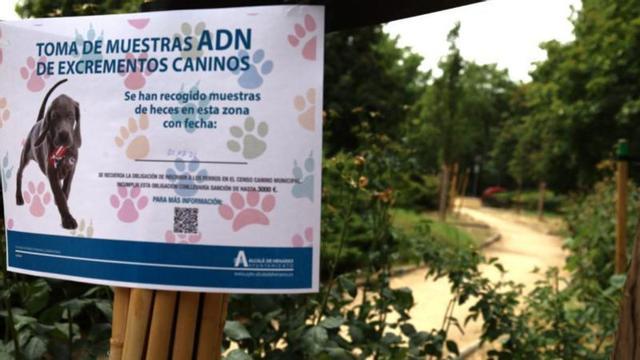 Toma de muestras ADN caninos Alcala de Henares