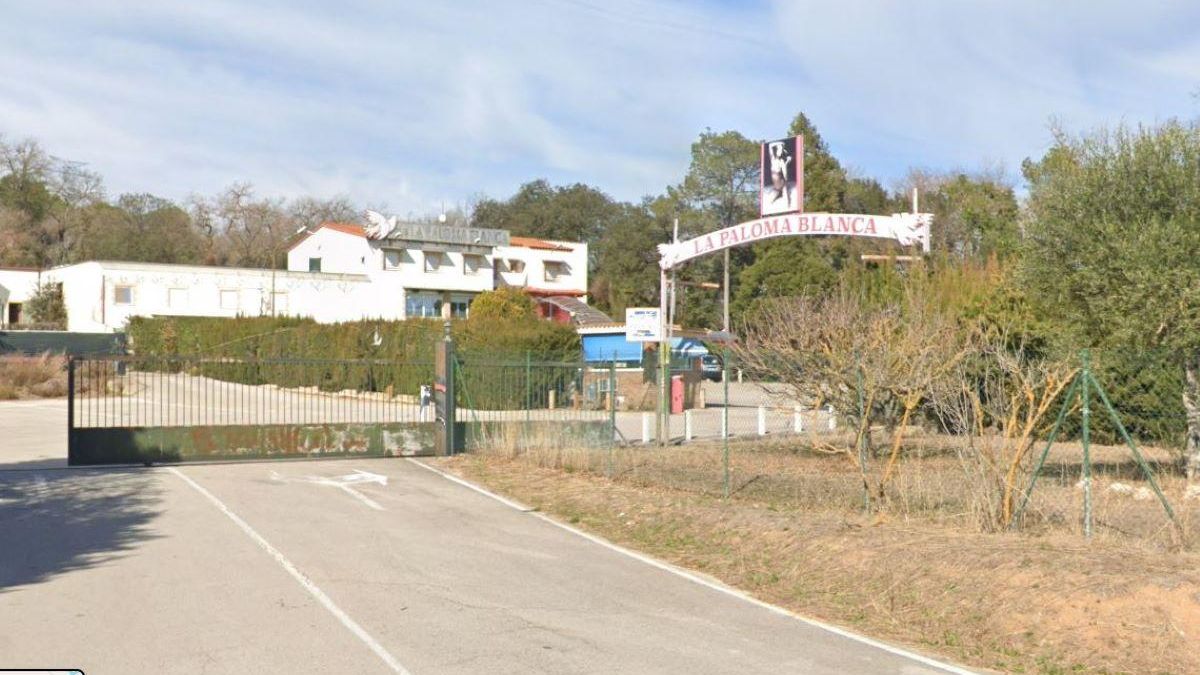 La Paloma Blanca.