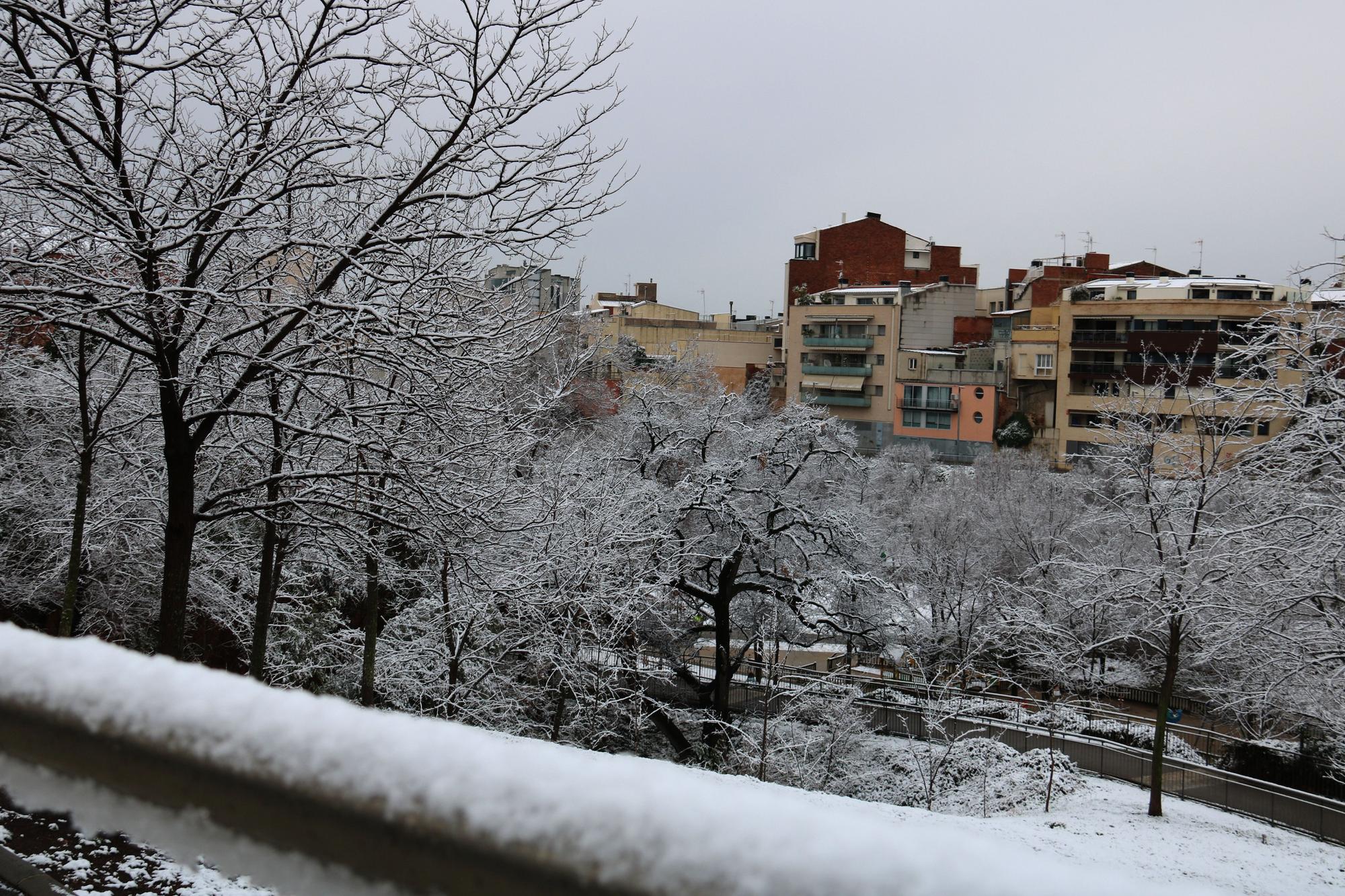 La neu enfarina Barcelona