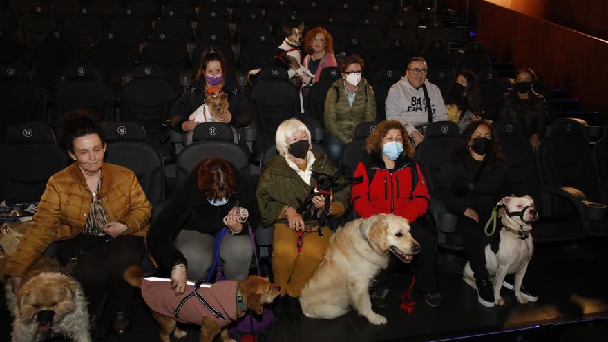 Cinéfilos de cuatro patas: Así fue el primer día con perros en el cine en Gijón