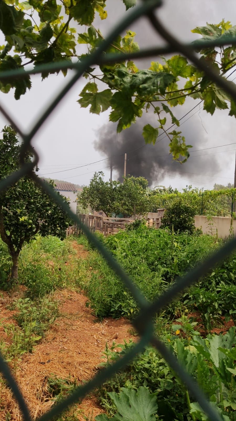 La columna de humo negro provocada por el incendio.