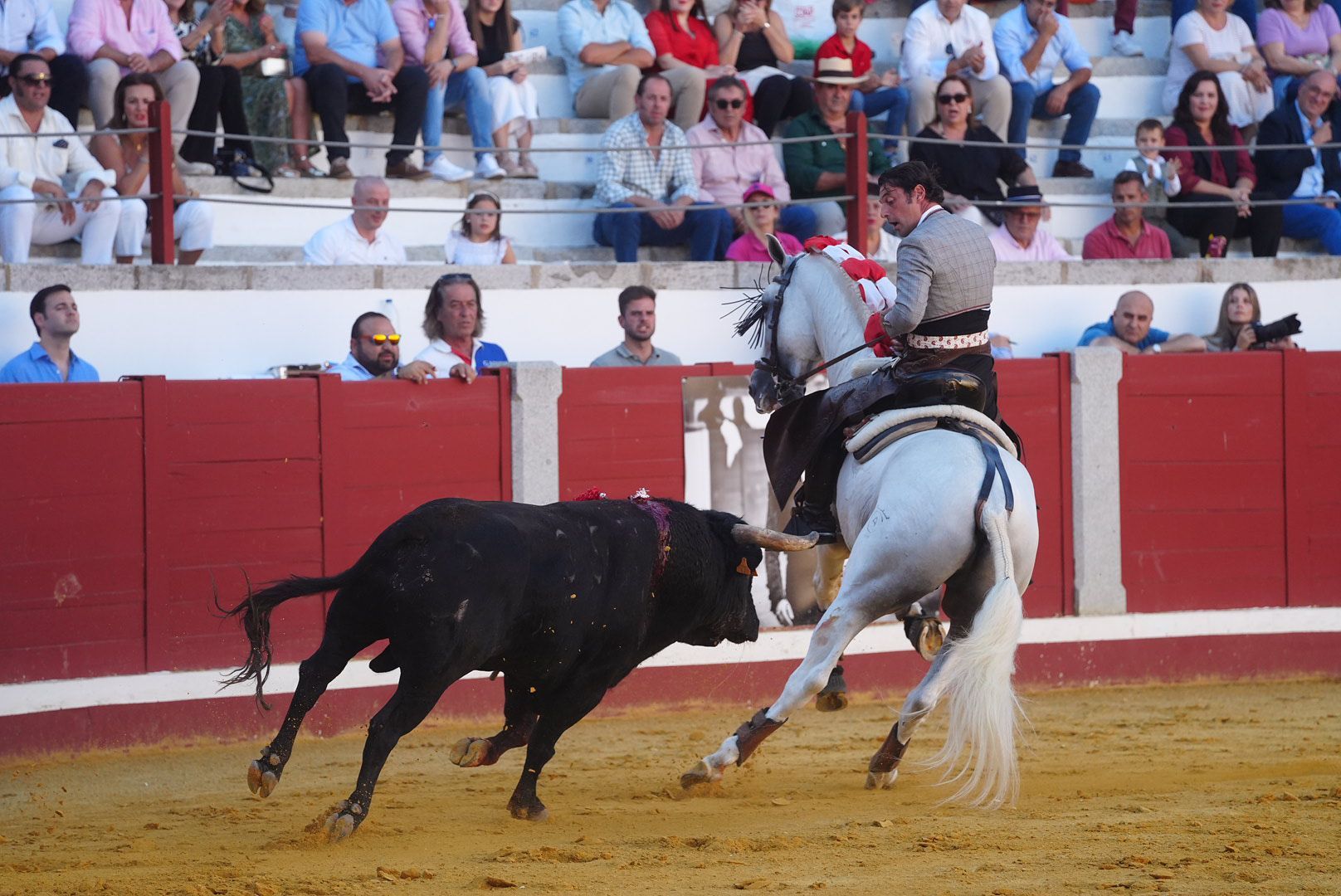 La corrida de rejones en Pozoblanco, en imágenes