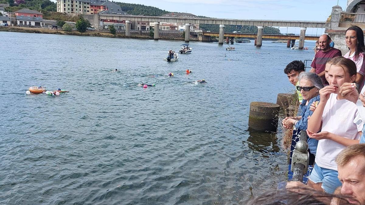 Ríade Navia, que separa los concejos de Coaña y Navia.