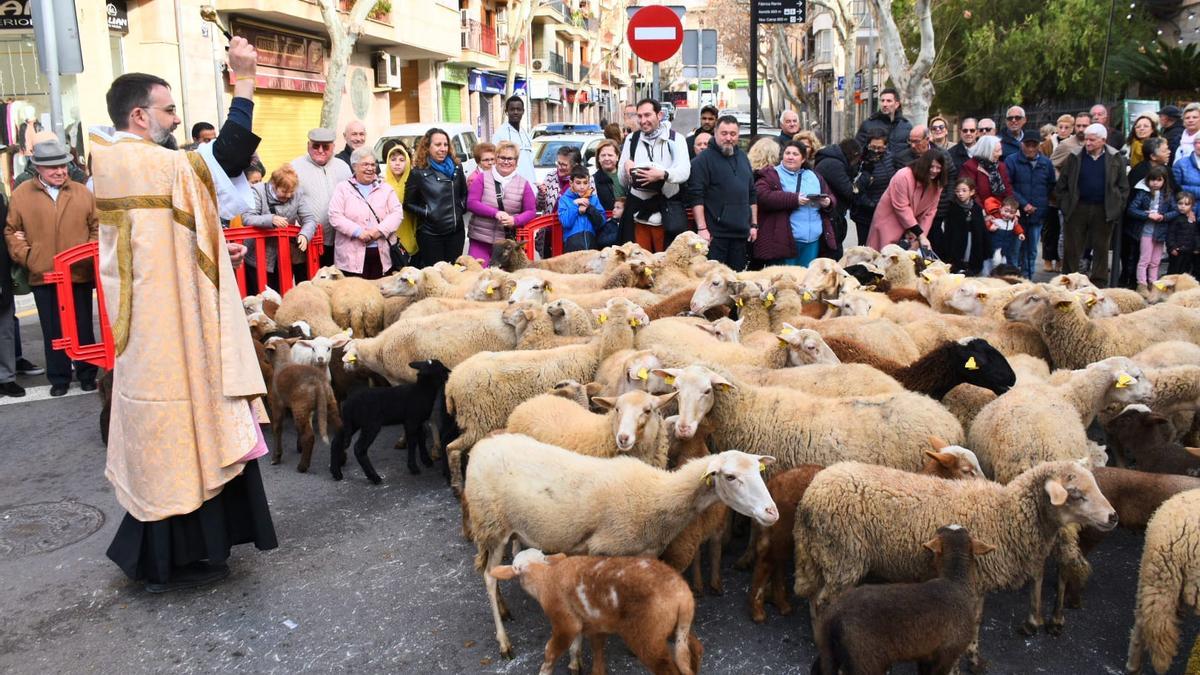 Domingo de beneïdes en la Part Forana