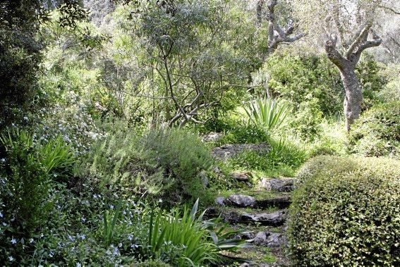 In Ariant blühen die mediterranen Pflanzen um die Wette. In dem von Heidi Gildemeister entworfenen Garten wird vieles den Launen der Natur und dem Zufall überlassen. Aber nicht alles.