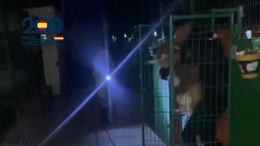 Rescatan a 15 perros en Ayagaures por la borrasca Therese