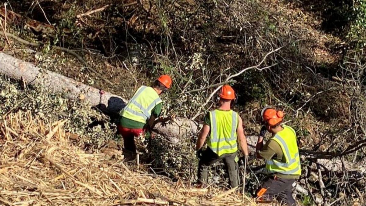 Els operaris, en un moment dels treballs.  | CONSELL COMARCAL PLA DE L’ESTANY