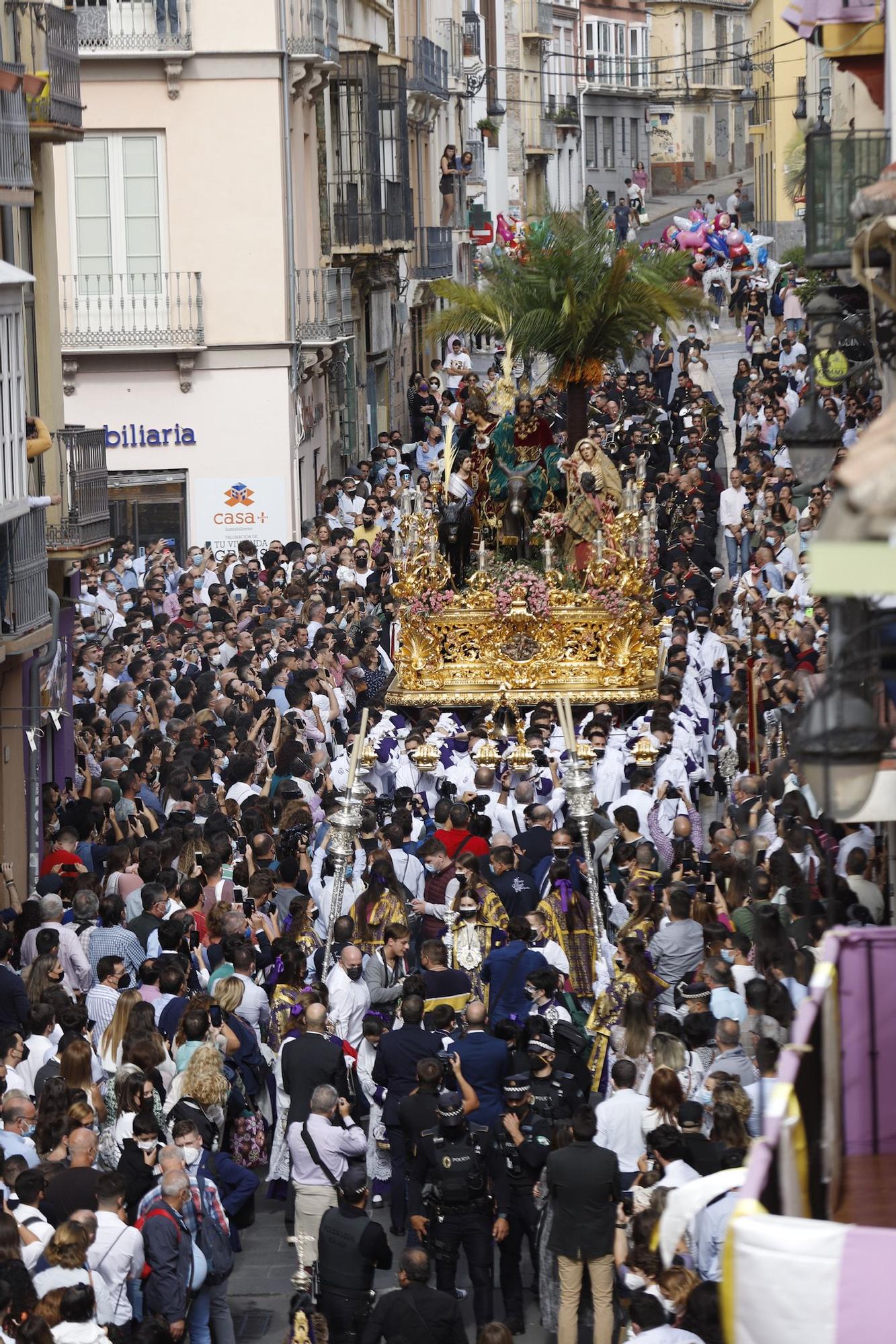 Procesión Magna de Málaga | Pollinica