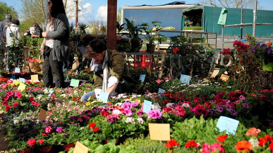 La Fira de la Flor i el Planter de Salt se celebrarà el 16 d’abril