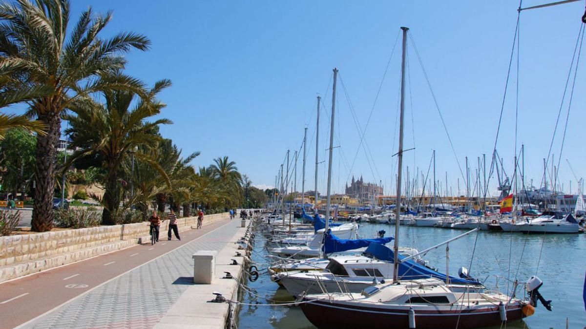 Los hechos ocurrieron en un barco atracado frente a la Seu, en el puerto de Palma. | DM 