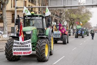 Manifestación del 20 de marzo: examen a las medidas del Gobierno para el mundo rural