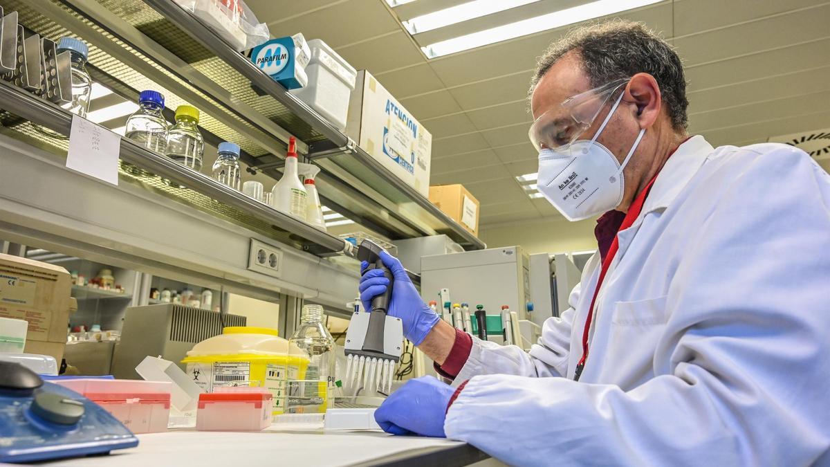 Innova.- Un equip de la UPV i el Peset desenvolupa un nou test de seroprevalença de "baix cost i alta fiabilitat"