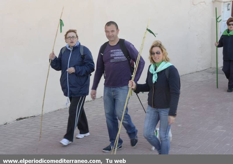 GALERÍA DE FOTOS - Romería Magdalena 2014 (2)