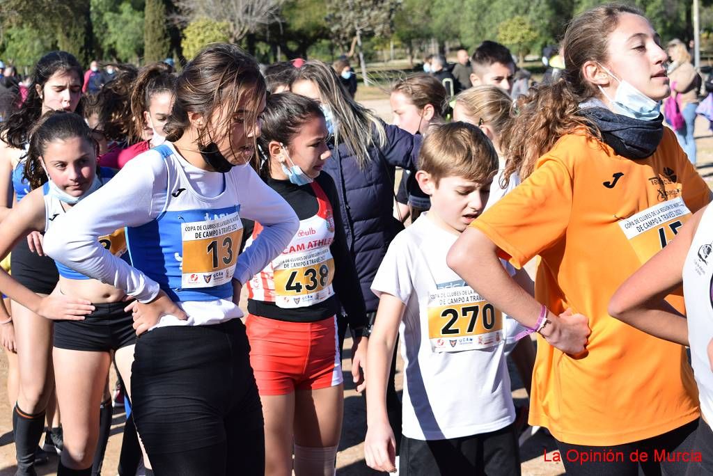 Copa de clubes de cross (II)