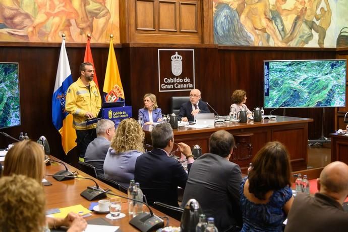 Pleno del Cabildo sobre el incendio de Gran Canaria.