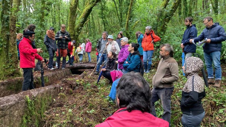 Un paseo por el paisaje oculto de Silvaescura