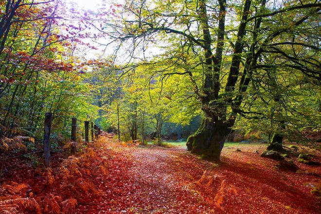 Los 10 mejores paisajes de otoño en España