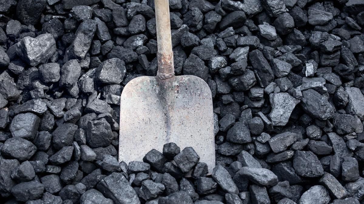 Carbón para una caldera centralizada