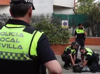 Así es un día de la Policía Local de Sevilla: "Nos ponemos el chaleco antibalas y vamos a la calle"
