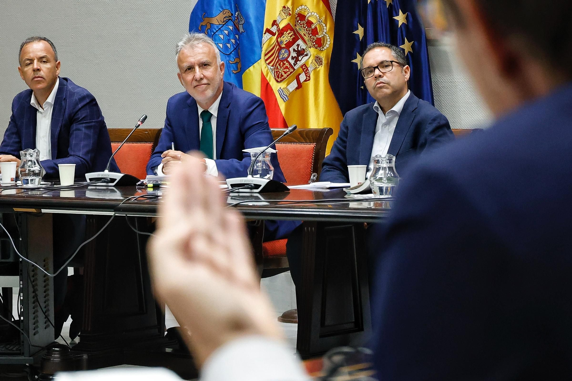 Comparecencia de Ángel Víctor Torres en el Parlamento de Canarias
