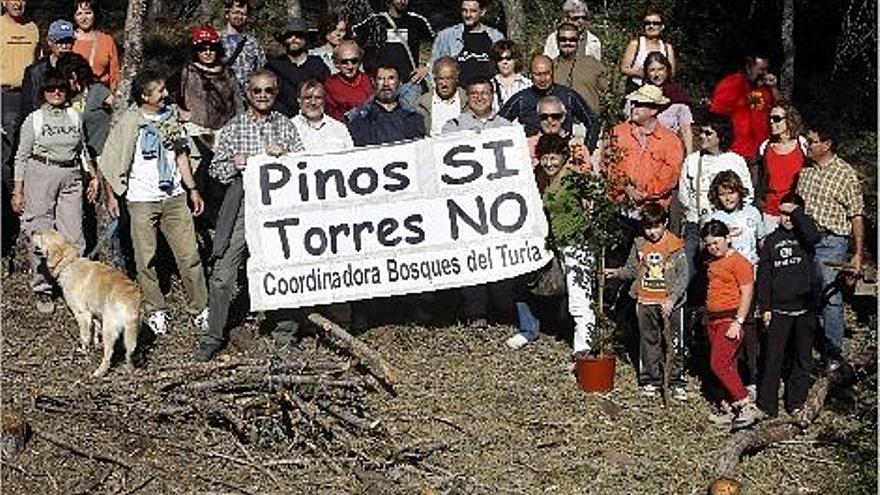 Los vecinos subieron al monte de Vilamarxant, junto a Porxinos, para exigir que se respeten los pinos.